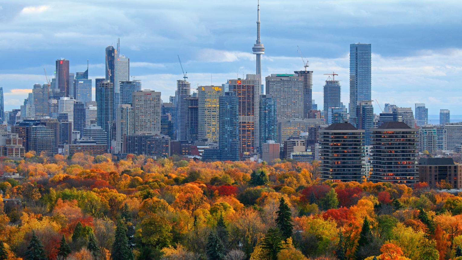 Understanding Personal Loans in Canada: A Beginner's Guide